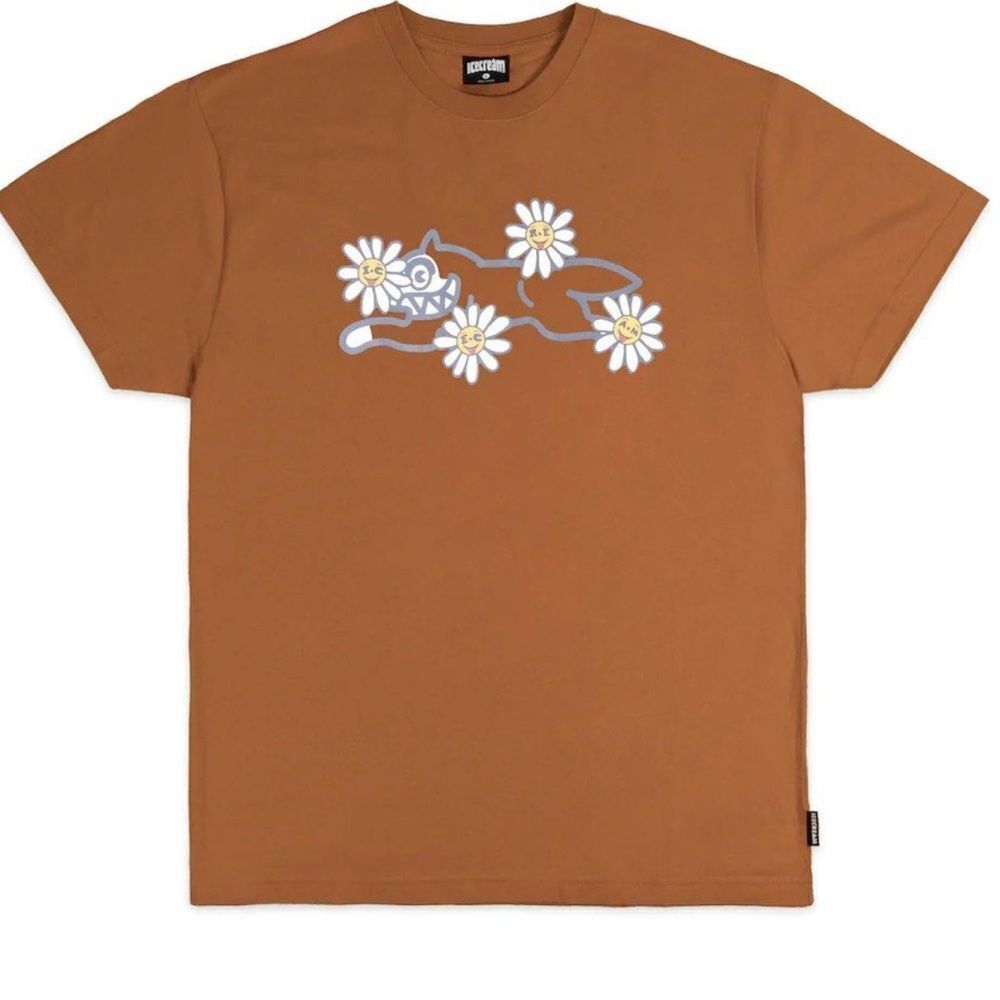 Icecream Brown Graphic T-Shirt